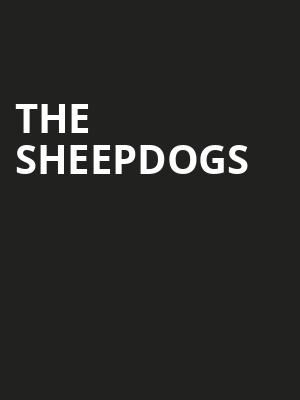 The Sheepdogs, Centre In The Square, Kitchener